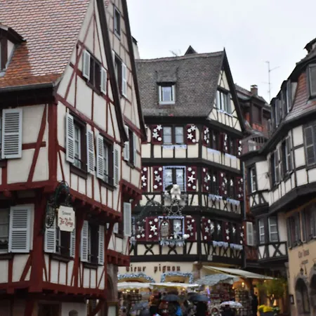 Apartment La Cigogne D'alsace 2 Selestat