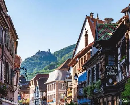 La Cigogne D'alsace 2 Apartment Selestat